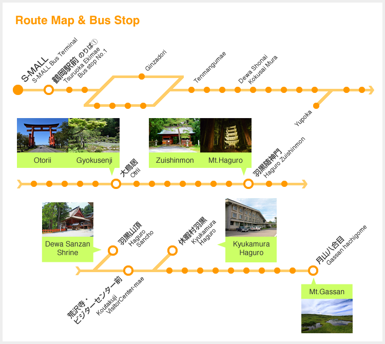 Route Map & Bus Stop