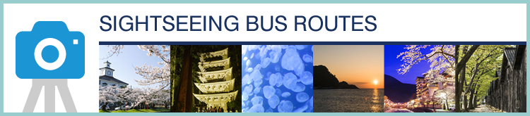 SIGHTSEEING BUS ROUTES