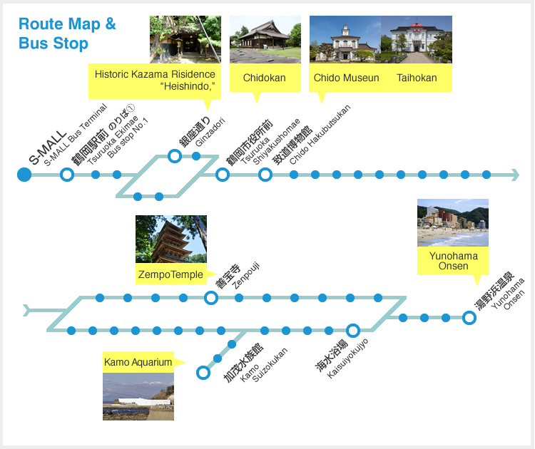 Route Map & Bus Stop